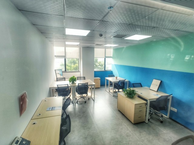 晋江土笋冻现货